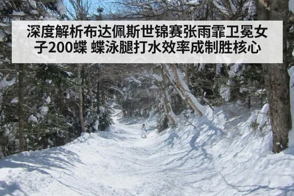 深度解析布达佩斯世锦赛张雨霏卫冕女子200蝶 蝶泳腿打水效率成制胜核心