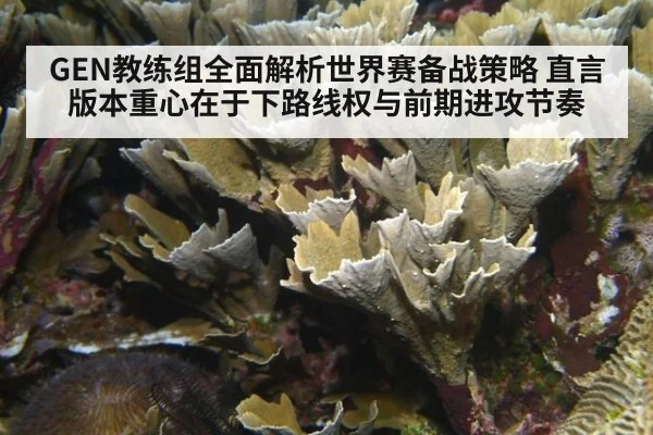 GEN教练组全面解析世界赛备战策略 直言版本重心在于下路线权与前期进攻节奏