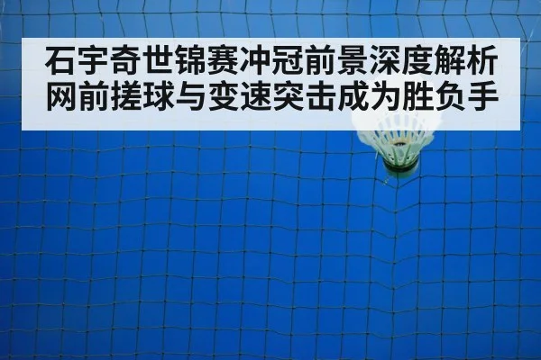 badminton net shot
